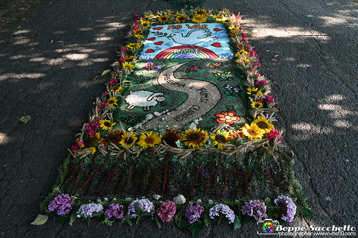 VBS_9879 - Infiorata Santuario della Madonnina di Villanova d'Asti 2024.jpg